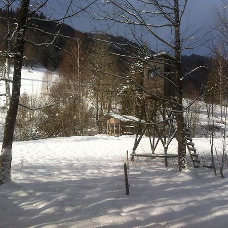 Ferienwohnung Haus Edeltraud Im Suedschwarzwald, Grosse, Helle, Ruhige Souterrain-Whg, Hunde Geeignet, Mit 2 Fahrraedern, 3 Baeckereien Mit Fruehstueck, 2 Lebensmittel-, 1 Italien-Pastalaeden, Kontakt Peter Heubueschl Aus Loerrach ไรน์เฟลเดิน ภายนอก รูปภาพ