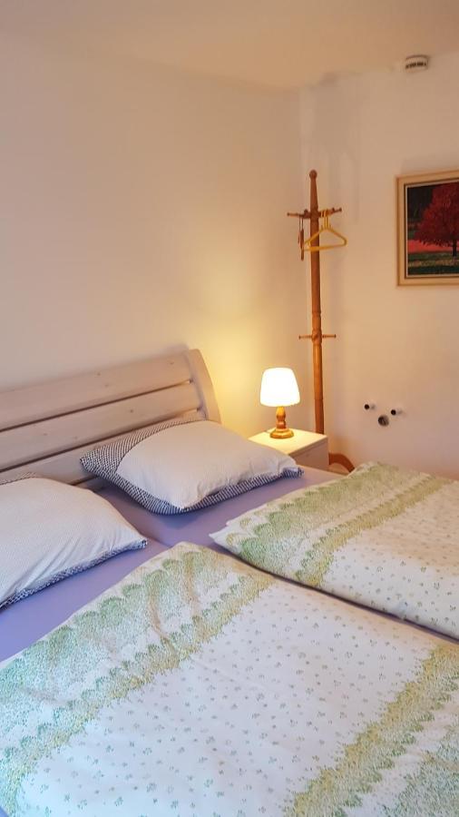 Ferienwohnung Haus Edeltraud Im Suedschwarzwald, Grosse, Helle, Ruhige Souterrain-Whg, Hunde Geeignet, Mit 2 Fahrraedern, 3 Baeckereien Mit Fruehstueck, 2 Lebensmittel-, 1 Italien-Pastalaeden, Kontakt Peter Heubueschl Aus Loerrach ไรน์เฟลเดิน ภายนอก รูปภาพ