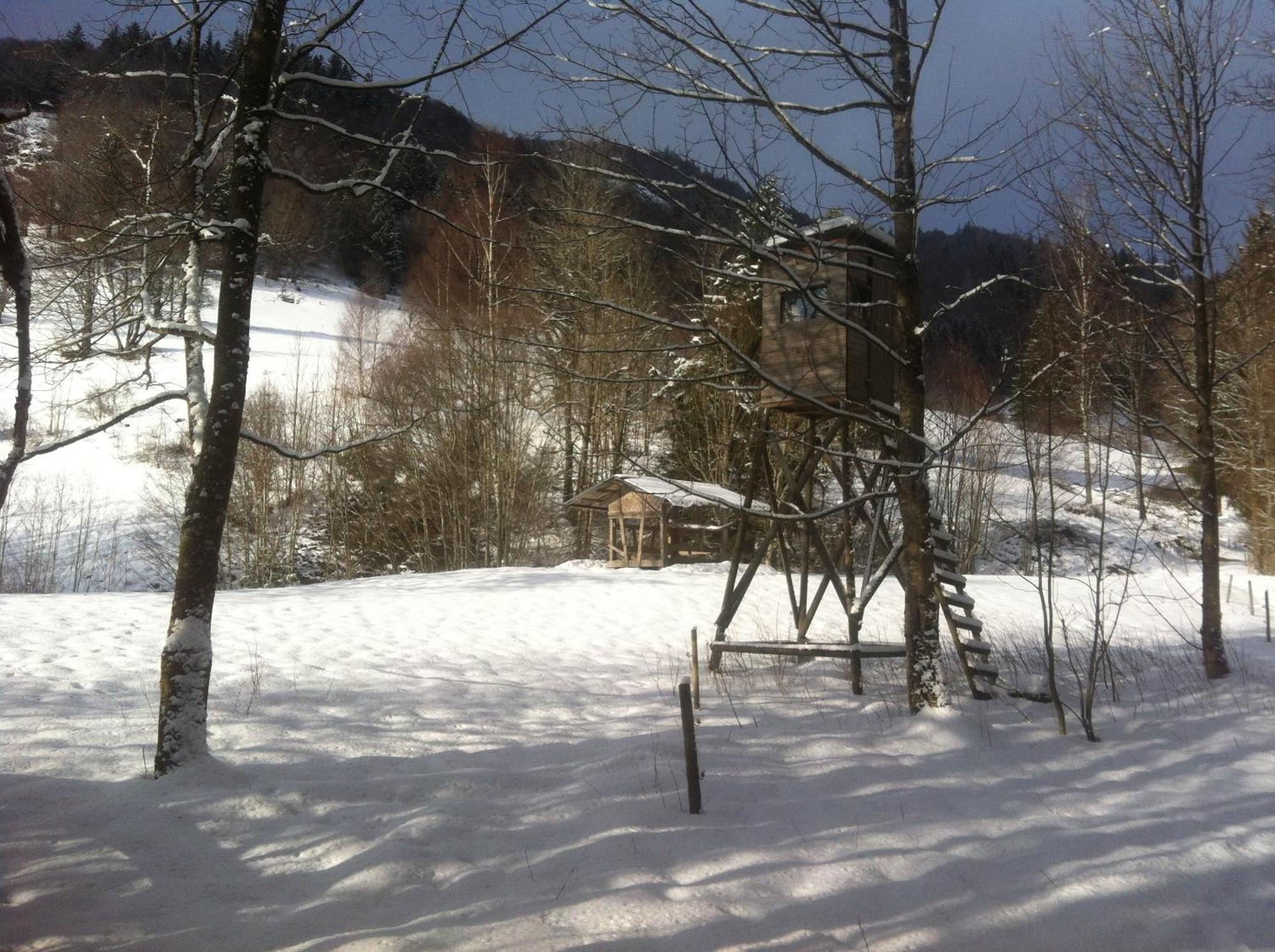 Ferienwohnung Haus Edeltraud Im Suedschwarzwald, Grosse, Helle, Ruhige Souterrain-Whg, Hunde Geeignet, Mit 2 Fahrraedern, 3 Baeckereien Mit Fruehstueck, 2 Lebensmittel-, 1 Italien-Pastalaeden, Kontakt Peter Heubueschl Aus Loerrach ไรน์เฟลเดิน ภายนอก รูปภาพ