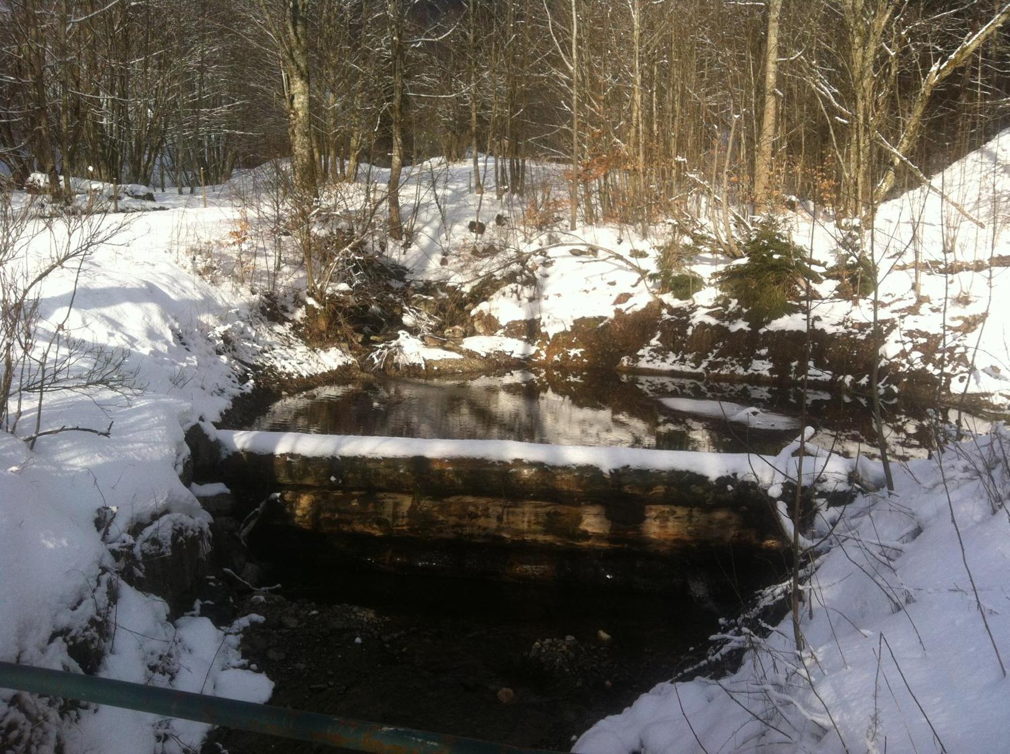 Ferienwohnung Haus Edeltraud Im Suedschwarzwald, Grosse, Helle, Ruhige Souterrain-Whg, Hunde Geeignet, Mit 2 Fahrraedern, 3 Baeckereien Mit Fruehstueck, 2 Lebensmittel-, 1 Italien-Pastalaeden, Kontakt Peter Heubueschl Aus Loerrach ไรน์เฟลเดิน ภายนอก รูปภาพ